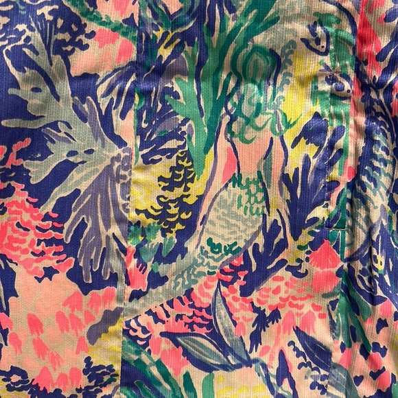 Lilly Pulitzer Dress - great condition size 6 - Picture 6 of 6